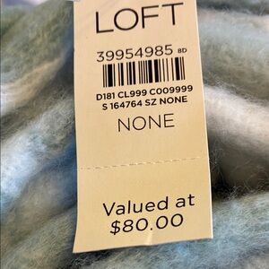 229 LOFT Light Blue/Teal Throw Blanket